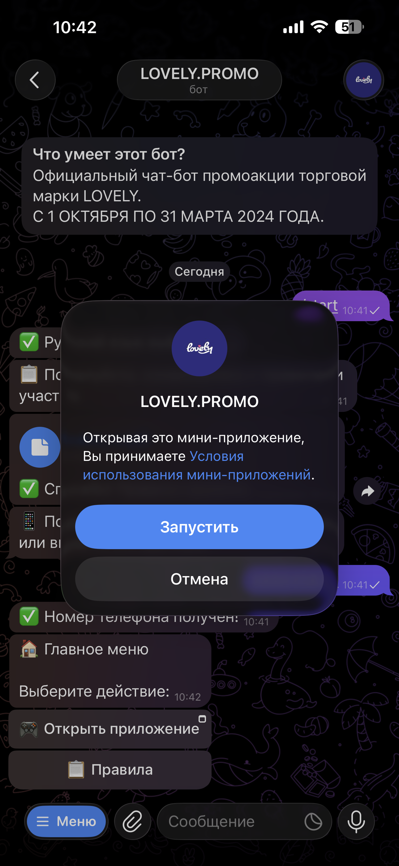 Launch Mini App